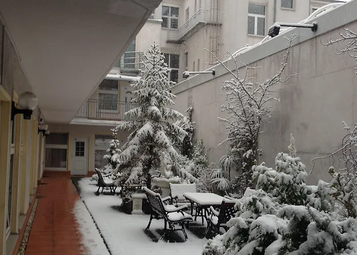 Отель Lounge 3*